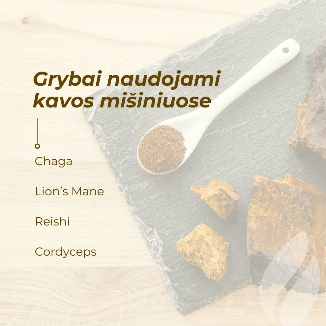 grybai, grybų kava