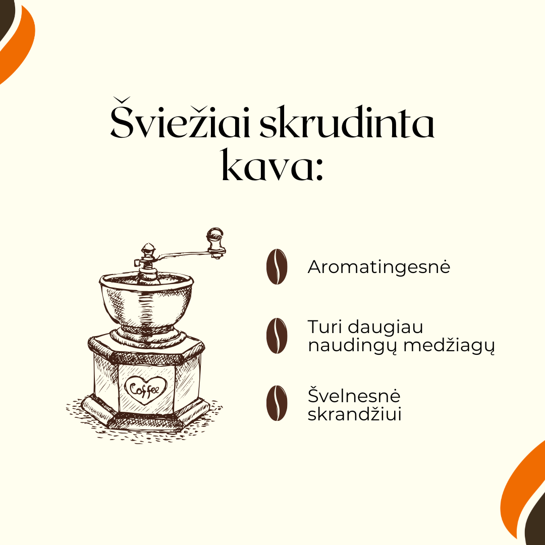 kuo svieziai skrudinta kava geresnė